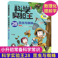 昆虫与蜘蛛 科学实验王升级版28 我的本科学漫画书6-12岁小学生图书科学科普书籍儿童博物大百科