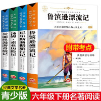 鲁滨逊漂流记汤姆索亚历险记爱丽丝漫游奇境尼尔斯骑鹅旅行记全套正版4册小学生六年级下册课外书必读书