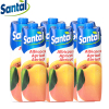 Parmalat SANTAL 帕玛拉特圣涛 杏汁饮料 1L*6瓶 进口果蔬汁 意大利原装进口