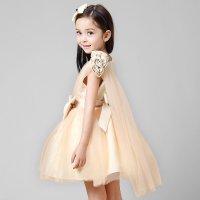 丽兰朵花童公主礼服裙韩版香槟色连衣裙六一演出儿童婚纱女童礼服
