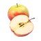 阿波罗波兰苹果-里果 2个/盒(约350g)进口水果 苹果 进口苹果 波兰苹果 新鲜水果 水果 有机苹果甜脆水果