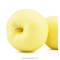 甘肃金帅苹果 6个/盒(约1.2kg) 金帅苹果 新鲜苹果 苹果水果甘肃苹果黄色大苹果 甜苹果 国产苹果