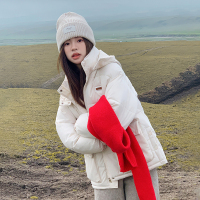 小个子棉服女冬2023年网红韩系设计感羽绒服棉衣短款外套