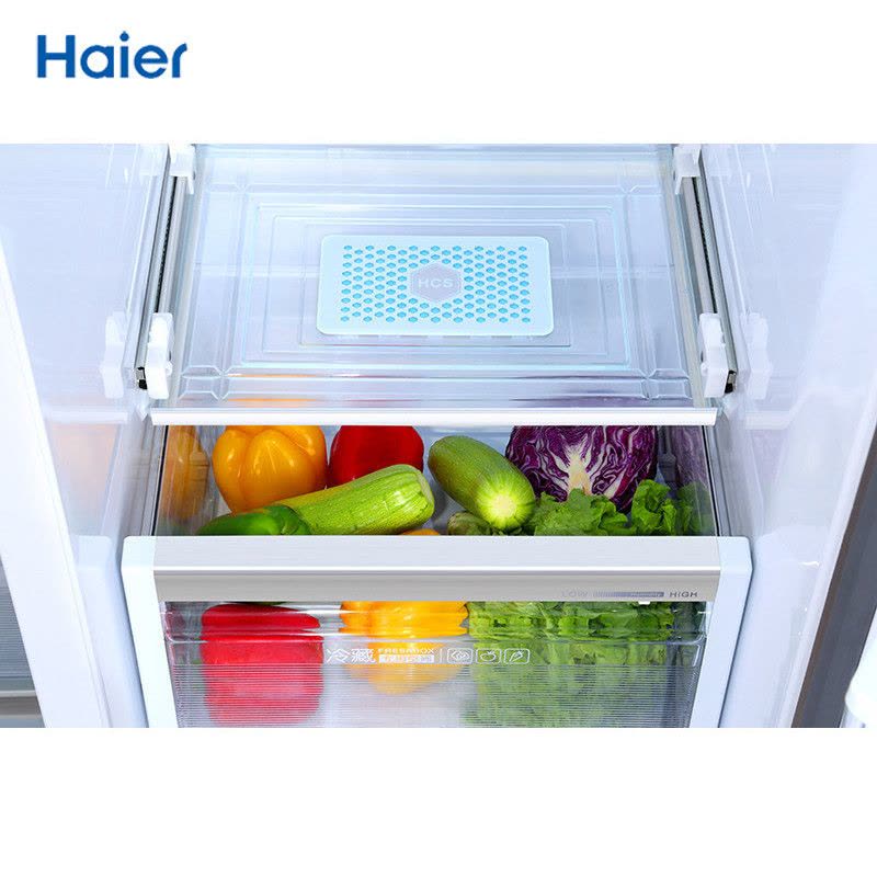 Haier/海尔 BCD-625WDGEU1 625升对开门风冷变频冰箱 干湿分储 WIFI智能控制 静音省电图片