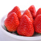【中华特色】烟台馆新鲜草莓水果奶油味烟台特产现摘现发头茬果900g