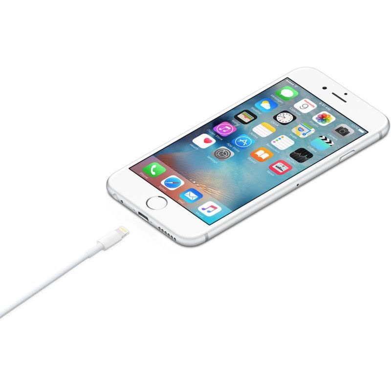 苹果原装（Apple) iPhone7/8/6s/6/5/SE/Plus 充电线iPad5 Lightning接口数据线图片