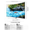 三星电视（SAMSUNG）UA55KS9800JXXZ 55英寸智能 曲面 WIFI 4K高清 SUHD量子点电视