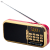 先科（SAST)便携式插卡音箱收音机迷你音响MP3音乐播放器老人广场舞晨练听戏曲机
