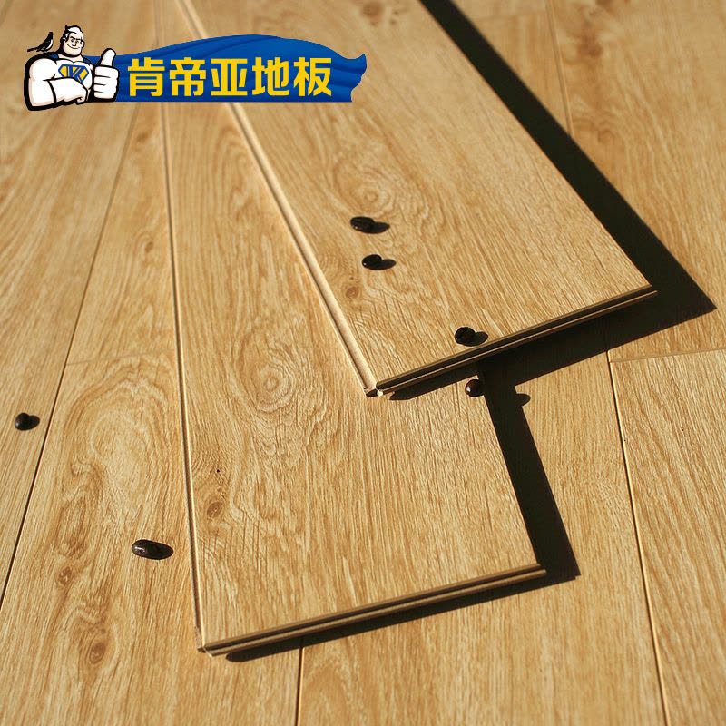 肯帝亚强化复合地板12mm防水耐磨复合地板家用厂家直销 BS系列图片