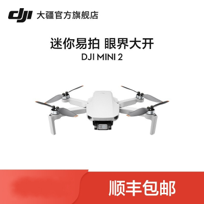 大疆(DJI)DJI Mini 2 航拍小飞机 便携可折叠无人机航拍器+畅飞套装