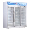 穂凌(SUILING)LG4-1860M3W 无霜风冷豪华立式商用展示柜单温冷藏保鲜冰柜