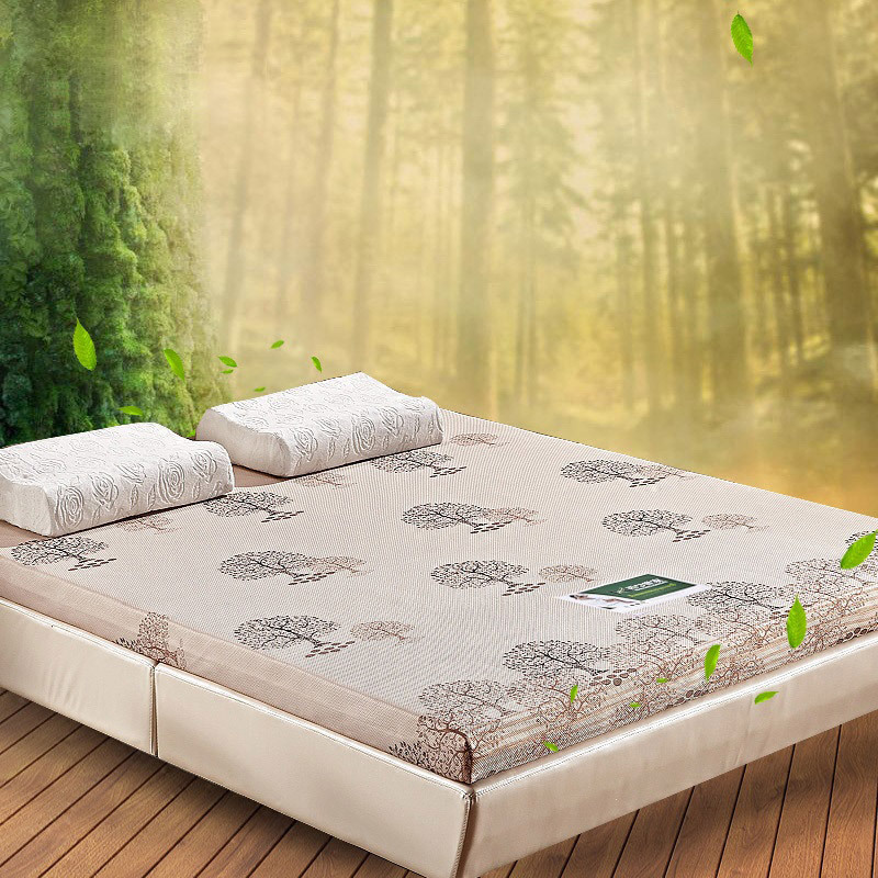 棕垫护腰椎椰棕床垫1.8 1.5 1.2米硬乳胶棕榈薄床垫定做可拆洗
