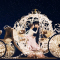 [西宁]美丽卡洛5999元经典爆款戴安娜系列