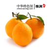 【中国特色】株洲馆 脐橙圆红9斤装 新鲜现摘橙子味甜汁多 华中
