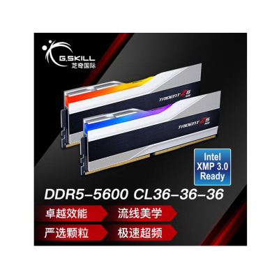 芝奇(G.SKILL)32GB(16Gx2)套装 DDR5 5600频率 台式机内存条-幻锋戟RGB灯条(科技银)/C36