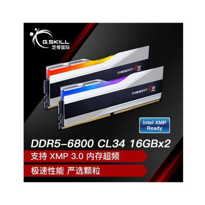 芝奇(G.SKILL)32GB(16Gx2) DDR5 6800 台式机内存条-幻锋戟RGB灯条(科技银)/Intel XMP/C34