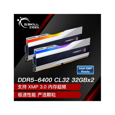 芝奇(G.SKILL)64GB(32Gx2) DDR5 6400 台式机内存条-幻锋戟RGB灯条(科技银)/Intel XMP/C32