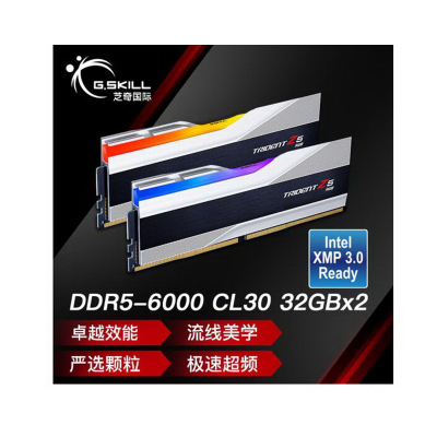 芝奇(G.SKILL)64GB(32Gx2)套装 DDR5 6000频率 台式机内存条-幻锋戟RGB灯条(科技银)/C30