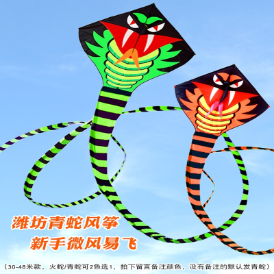 21新款青蛇风筝微风易飞成人专用大型长尾蛇儿童卡通初学风争