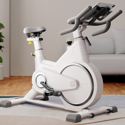 智能动感单车家用室内健身车闪电客健身房器材运动自行车
