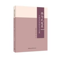 全新正版 参与式发展：外援与民族地区自主发展