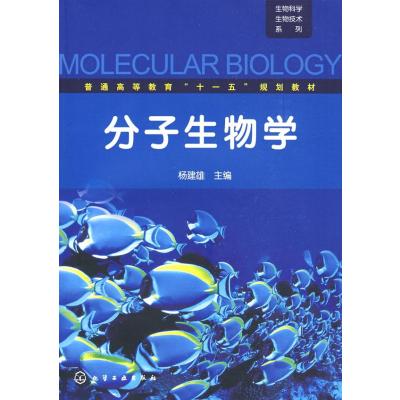 生物科学生物技术系列--分子生物学(杨建雄)