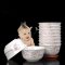 瓷物语景德镇骨瓷陶瓷碗 10头碗套装 碗自搭餐具 套装