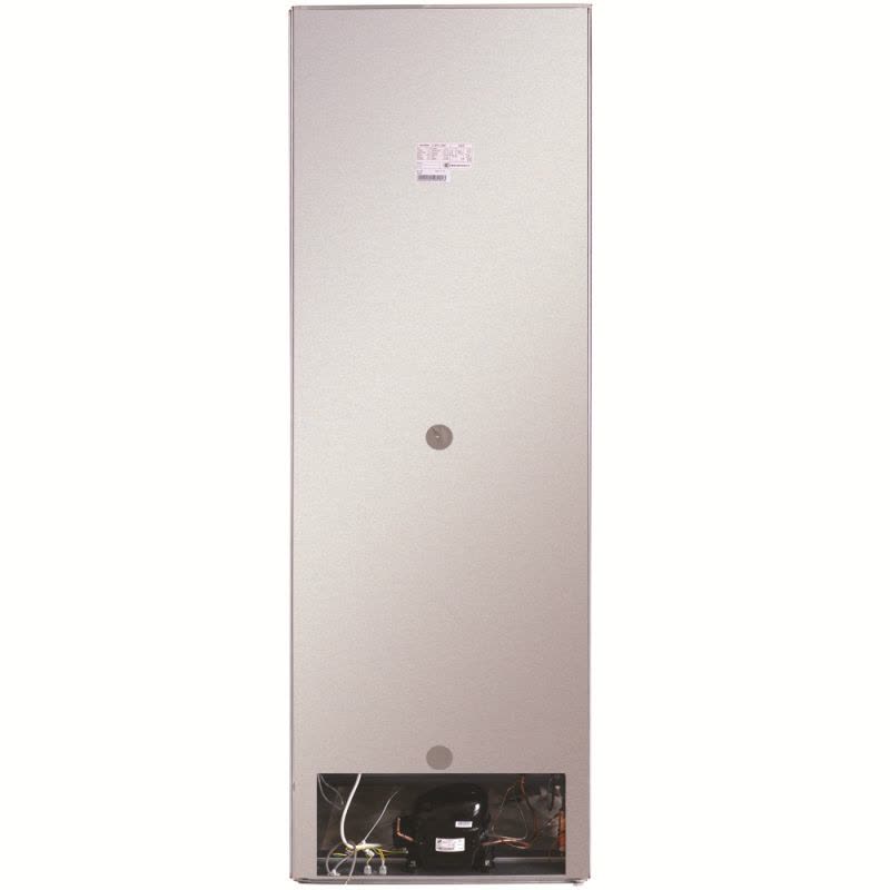 Aucma/澳柯玛立式展示柜 SC-387 387升 立式商用展示柜透明侧开门冷藏冰柜饮料保鲜冷柜图片