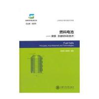 燃料电池——原理 关键材料和技术