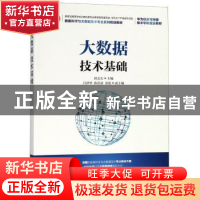 正版 大数据技术基础 薛志东 人民邮电出版社 9787115483072 书籍