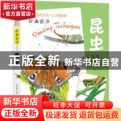 正版 绘画技法:昆虫 仲崇鑫著 新世界出版社 9787510461774 书籍