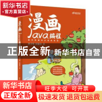 正版 漫画Java编程 孙卫琴 电子工业出版社 9787121449635 书籍