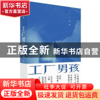 正版 工厂男孩 丁燕著 中国工人出版社 9787500882848 书籍
