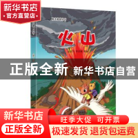 正版 火山 赵鹏飞,李吉奎编著 南京出版社 9787553311173 书籍