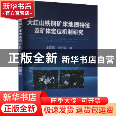 正版 大红山铁铜矿床地质特征及矿体定位机制研究 金廷福 李佑