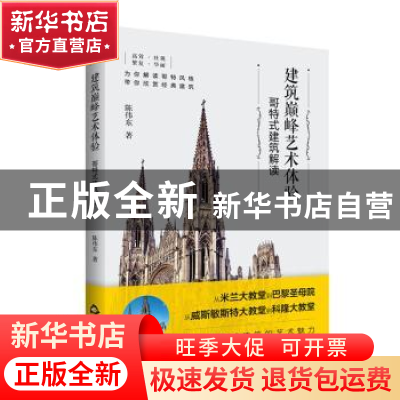 正版 建筑巅峰艺术体验:哥特式建筑解读 陈伟东著 中国书籍出版社