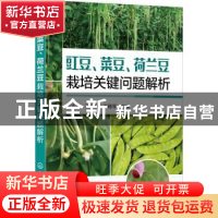 正版 豇豆菜豆荷兰豆栽培关键问题解析 何永梅 化学工业出版社 97