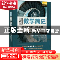 正版 图解数学简史 数学世界中不可不知的100个重大突破 [英]理查