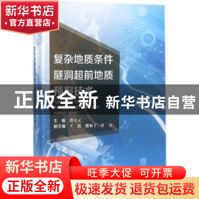 正版 复杂地质条件隧洞超前地质预报技术 谭天元,王波,楼加丁,