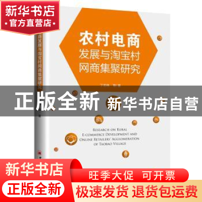 正版 农村电商发展与淘宝村网商集聚研究 丁志伟 中国经济出版社