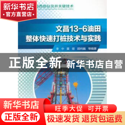 正版 文昌13-6油田整体快速打桩技术与实践 李中 等编著 石油工