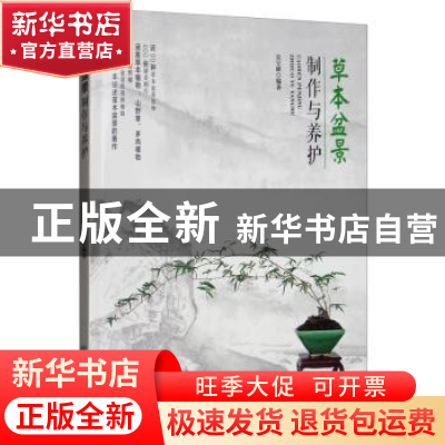 正版 草本盆景制作与养护 兑宝峰 中国林业出版社 9787521902570