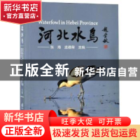 正版 河北水鸟 白清泉,[日]陈承彦,陈建中,张海,孟德荣 等 中国林