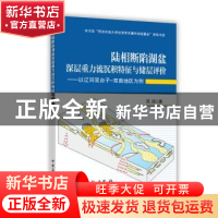 正版 陆相断陷湖盆深层重力流沉积特征与储层评价:以辽河双台子—