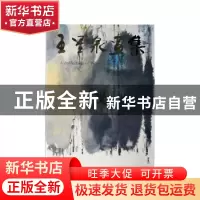 正版 王星泉画集 湖南人民出版社编辑 人民美术出版社 9787102019