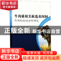 正版 牛肉质相关候选基因间作用机制的分析研究 杨又兵,张全有,