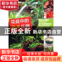正版 花盆中的蔬果乐趣 董淑芬著 河南科学技术出版社 97875349