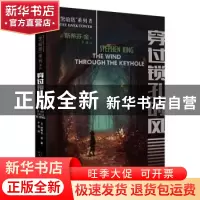 正版 穿过锁孔的风 [美]斯蒂芬·金 著 人民文学出版社 9787020133