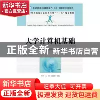 正版 大学计算机基础 龙军,王一锋,刘晓娟 人民邮电出版社 978711
