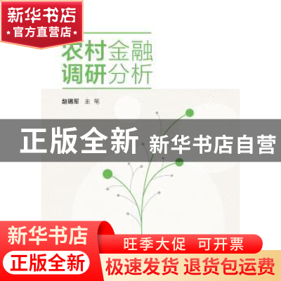 正版 农村金融调研分析 《村镇金融服务关键技术及习题研发与示范